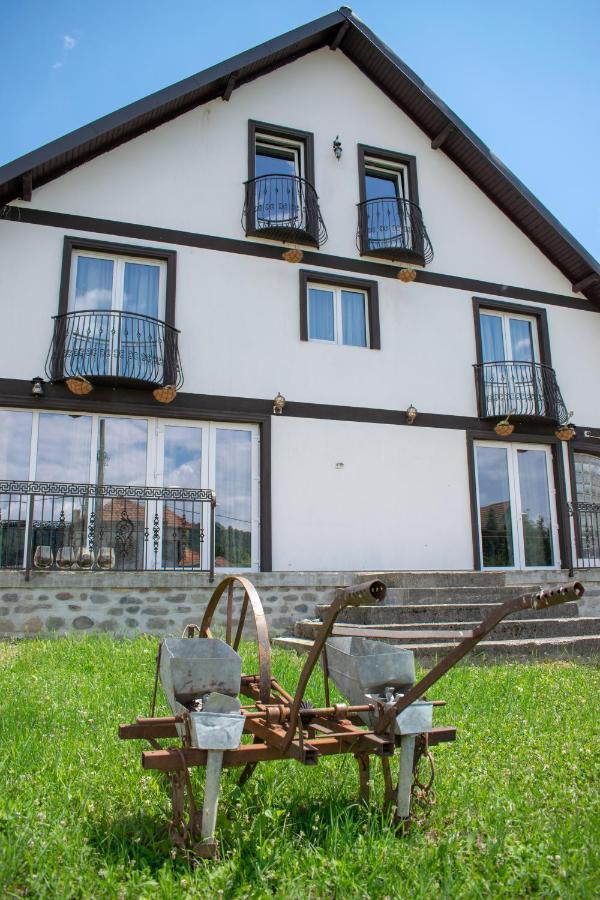 Hotel Casa Nevada Curtea de Argeş Zewnętrze zdjęcie