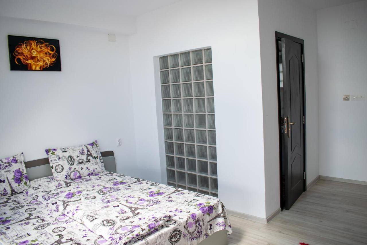 Hotel Casa Nevada Curtea de Argeş Zewnętrze zdjęcie